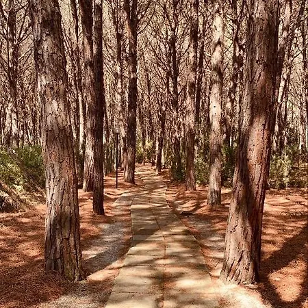 Anna's House - Family *