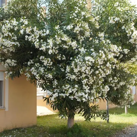 Anna's House - Family Apartment *