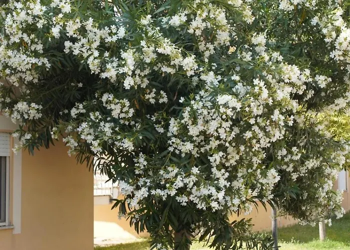 Anna's House - Family Apartamento *